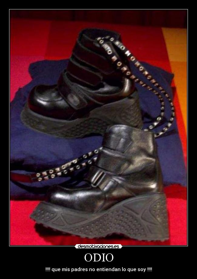 carteles odio paufager desmotivaciones