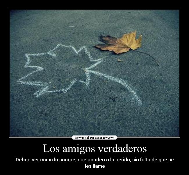 Los amigos verdaderos - Deben ser como la sangre; que acuden a la herida, sin falta de que se les llame