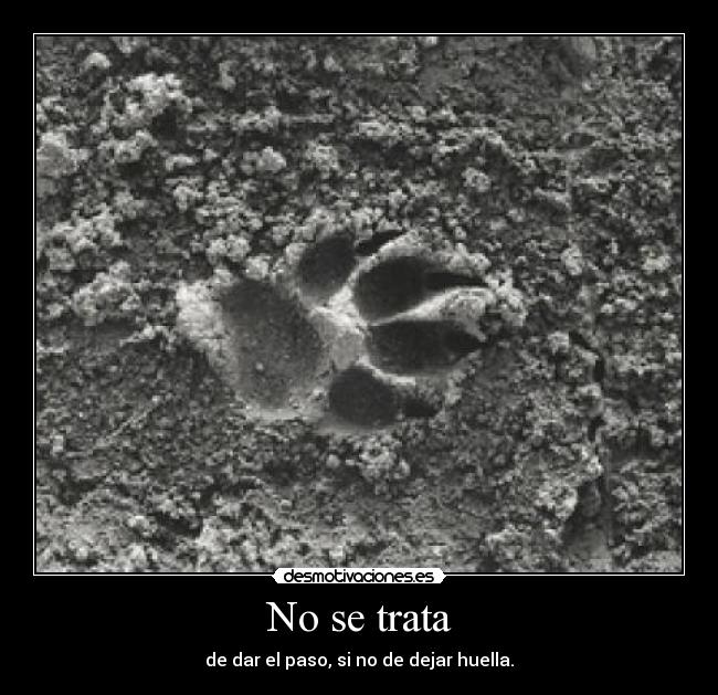 No se trata - de dar el paso, si no de dejar huella.