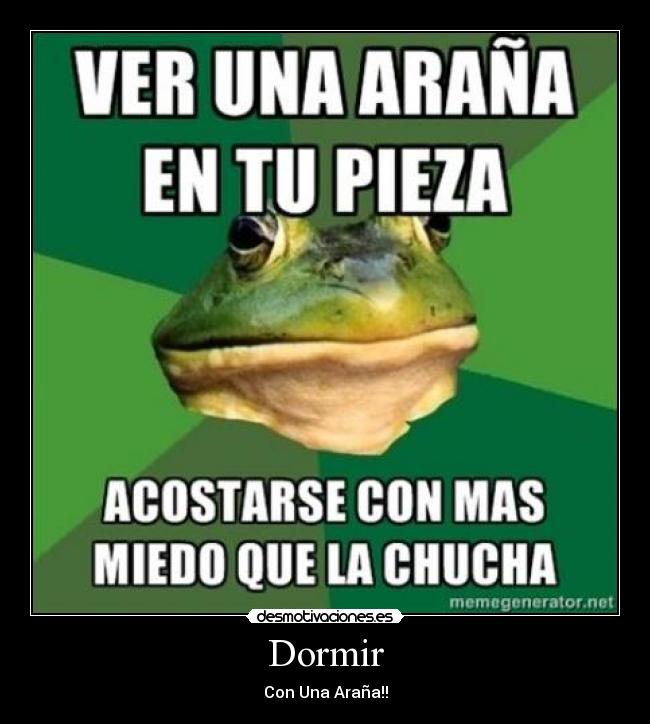 Dormir - Con Una Araña!!