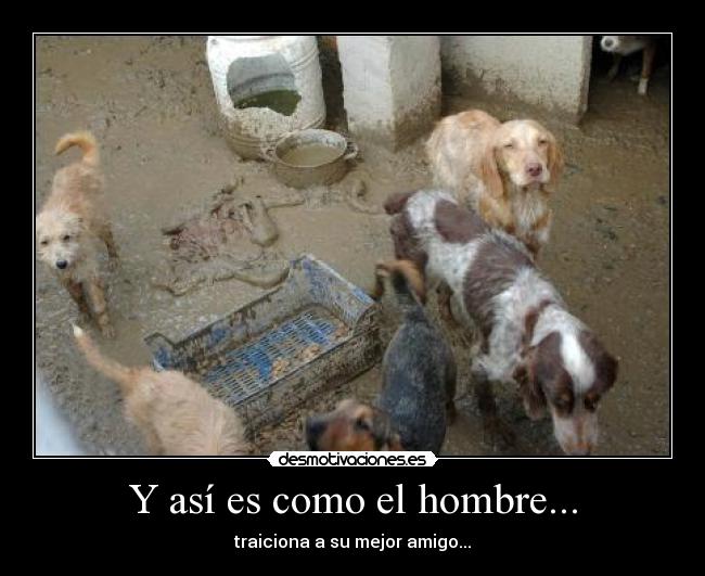 Y así es como el hombre... - traiciona a su mejor amigo...