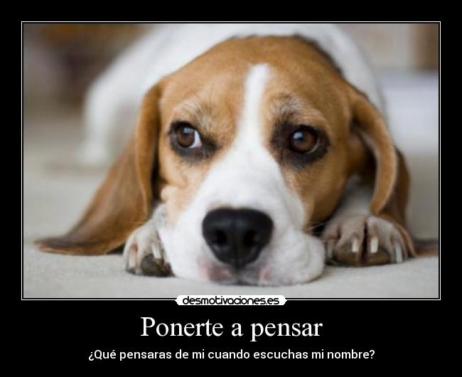 carteles perrito pensar desmotivaciones