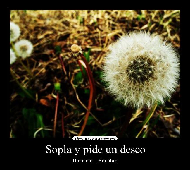 Sopla y pide un deseo - Ummmm.... Ser libre