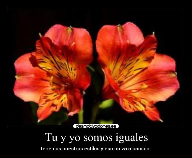 Tu y yo somos iguales -