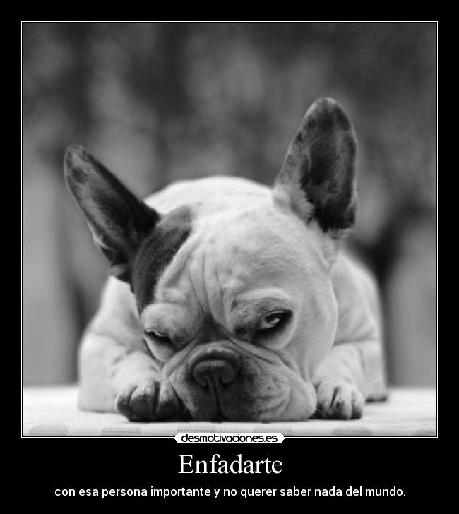 Enfadarte - con esa persona importante y no querer saber nada del mundo.