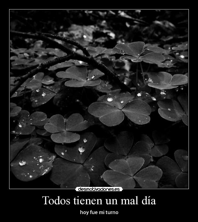 Todos tienen un mal día - 