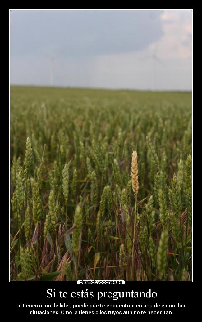 carteles espero que guste fotografia frase muy reflexiva desmotivaciones