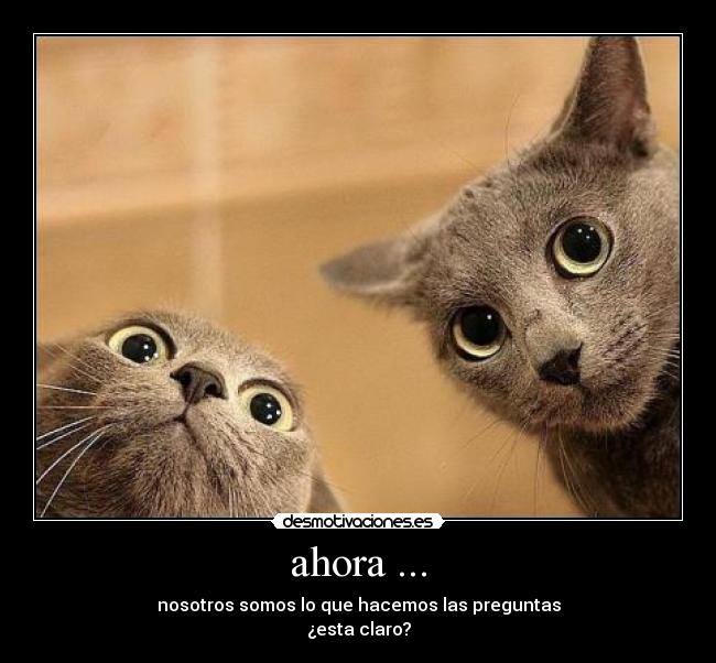 ahora ... -