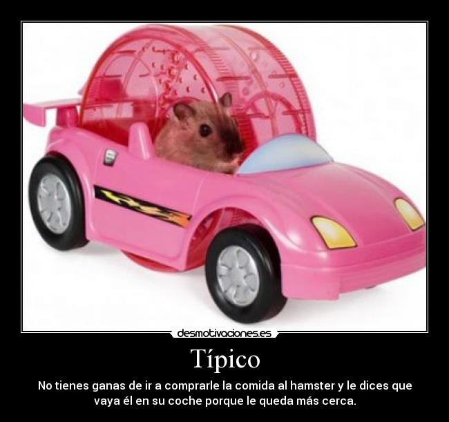 carteles emiliasv16 desmotivaciones