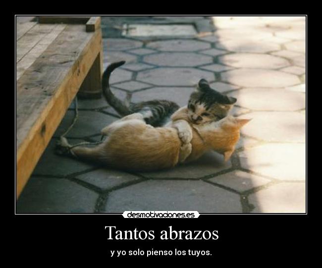 Tantos abrazos - y yo solo pienso los tuyos.