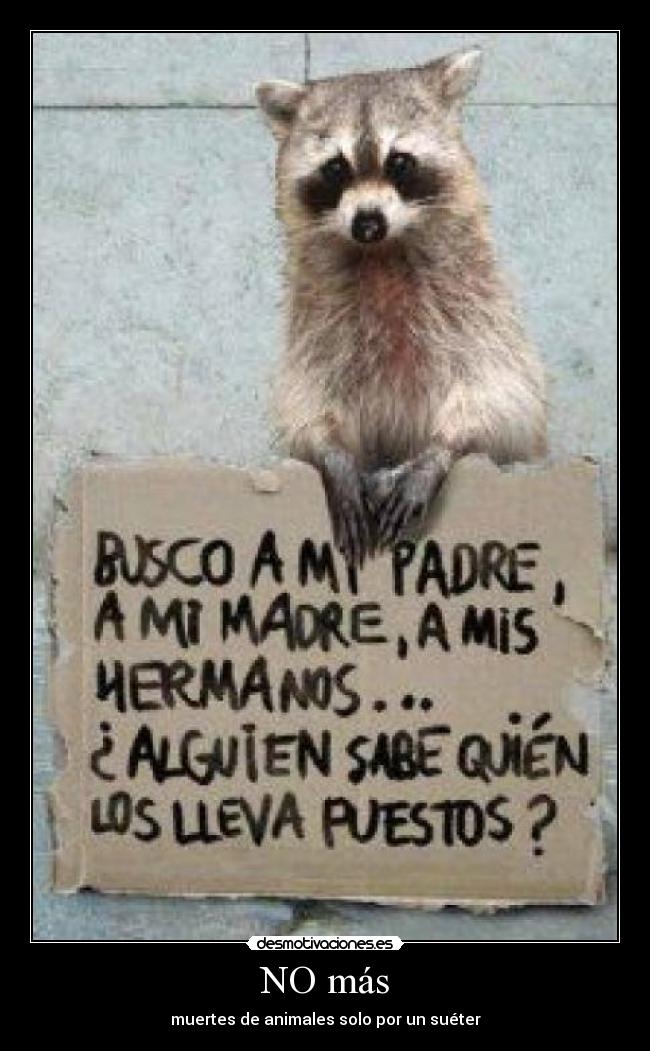 NO más - muertes de animales solo por un suéter