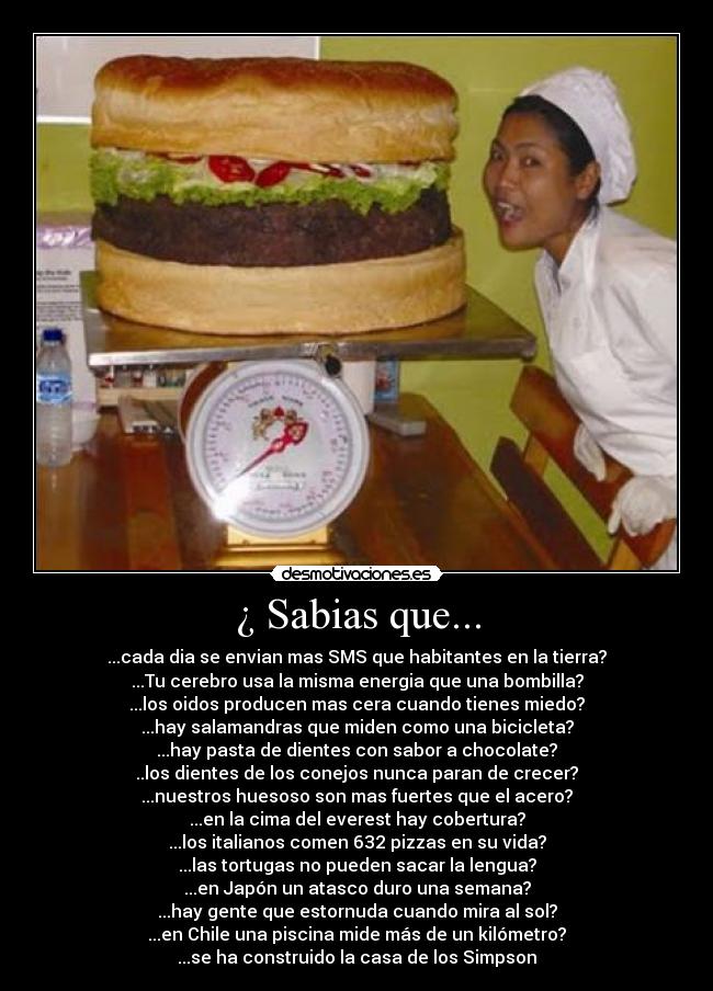 ¿ Sabias que... - ...cada dia se envian mas SMS que habitantes en la tierra?
...Tu cerebro usa la misma energia que una bombilla?
...los oidos producen mas cera cuando tienes miedo?
...hay salamandras que miden como una bicicleta?
...hay pasta de dientes con sabor a chocolate?
..los dientes de los conejos nunca paran de crecer?
...nuestros huesoso son mas fuertes que el acero?
...en la cima del everest hay cobertura?
...los italianos comen 632 pizzas en su vida?
...las tortugas no pueden sacar la lengua?
...en Japón un atasco duro una semana?
...hay gente que estornuda cuando mira al sol?
...en Chile una piscina mide más de un kilómetro?
...se ha construido la casa de los Simpson