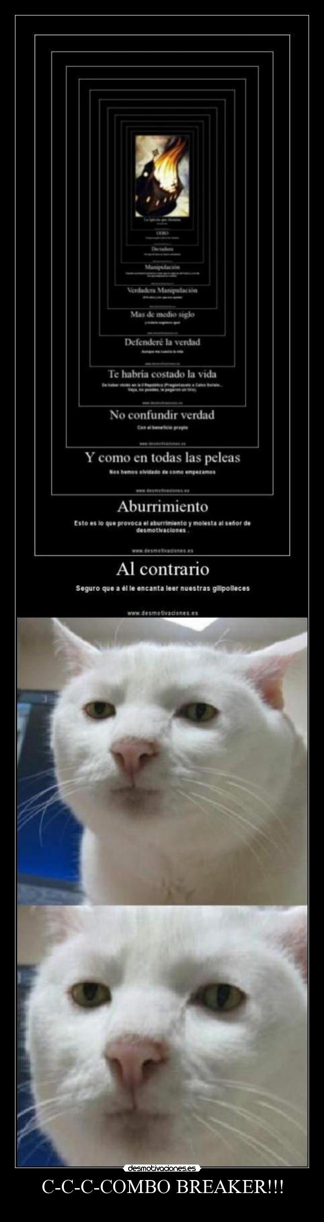 carteles combo mas poderoso que hadouken kame hame juntos desmotivaciones