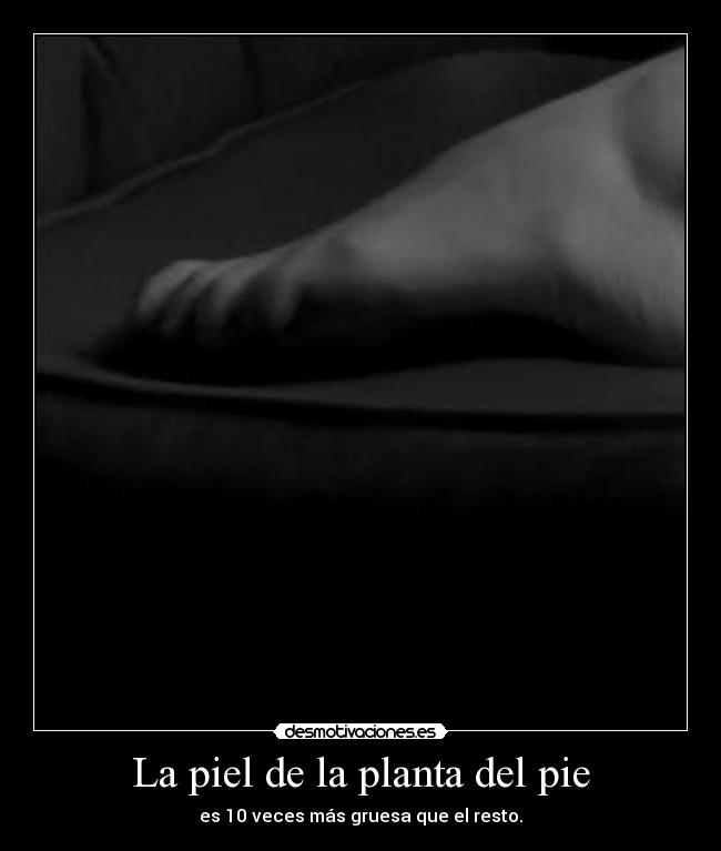 carteles piel planta pie diez veces gruesa desmotivaciones