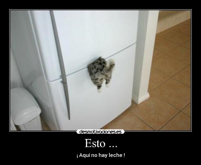 Esto ... - ¡ Aquí no hay leche !