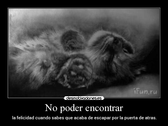 carteles felicidad cuando sabes que acaba escapar por puerta atras desmotivaciones