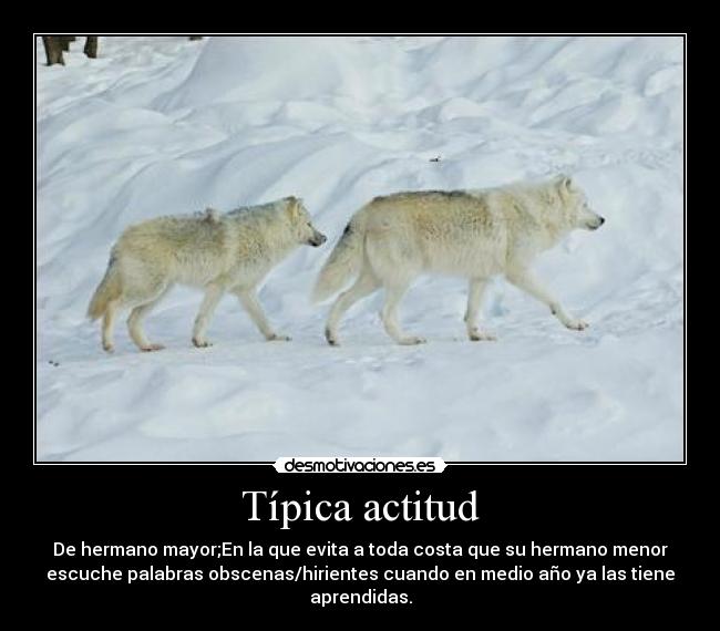 Típica actitud - De hermano mayor;En la que evita a toda costa que su hermano menor
escuche palabras obscenas/hirientes cuando en medio año ya las tiene
aprendidas.