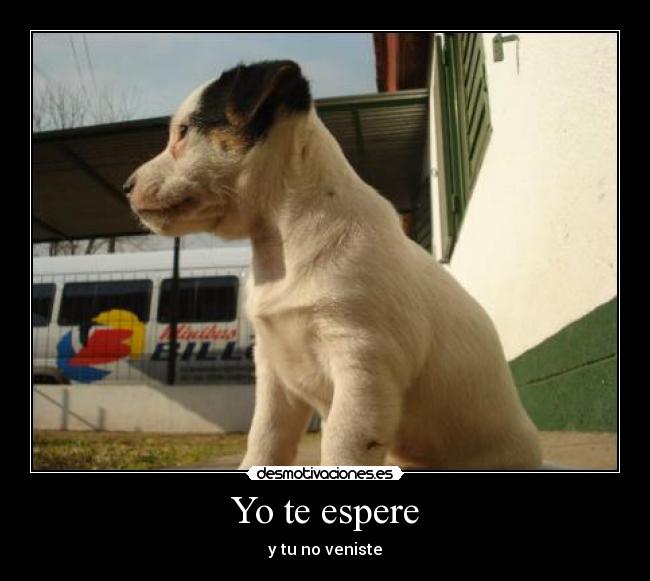 Yo te espere - y tu no veniste