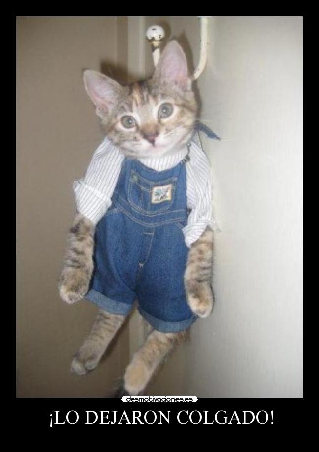 ¡LO DEJARON COLGADO! -