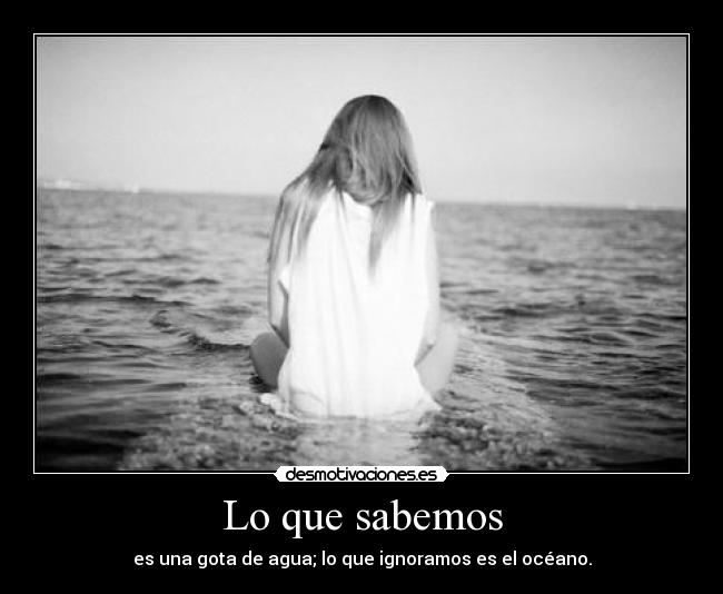 carteles bash quiero sujetadordesmo deja estar ahi hoygan isaac newton desmotivaciones