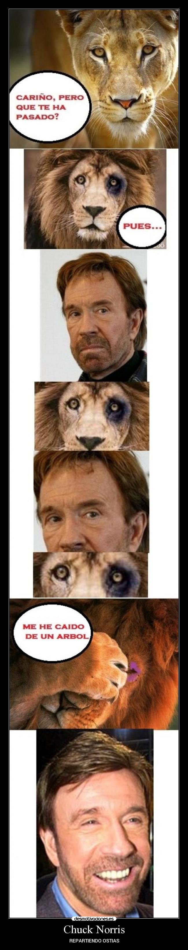 Chuck Norris - REPARTIENDO OSTIAS