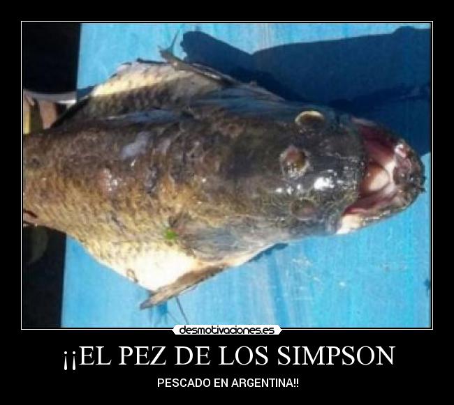 ¡¡EL PEZ DE LOS SIMPSON - 