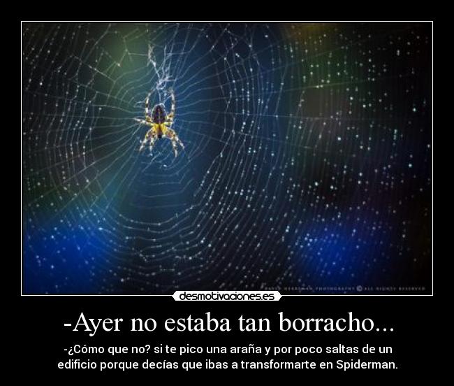 -Ayer no estaba tan borracho... - 