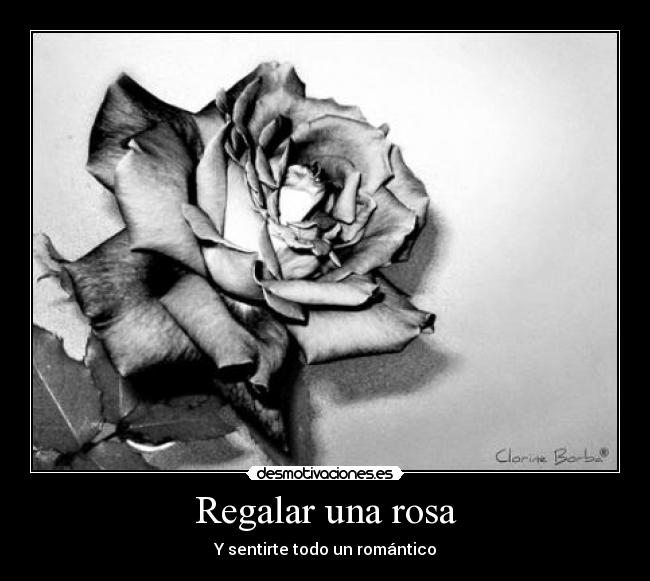 Regalar una rosa - Y sentirte todo un romántico