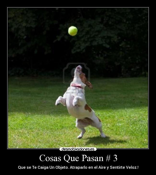 Cosas Que Pasan # 3 -