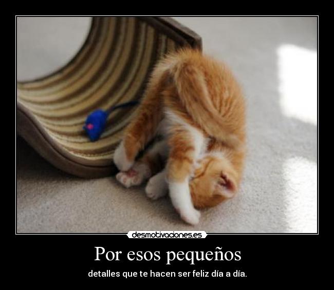 Por esos pequeños - detalles que te hacen ser feliz día a día.