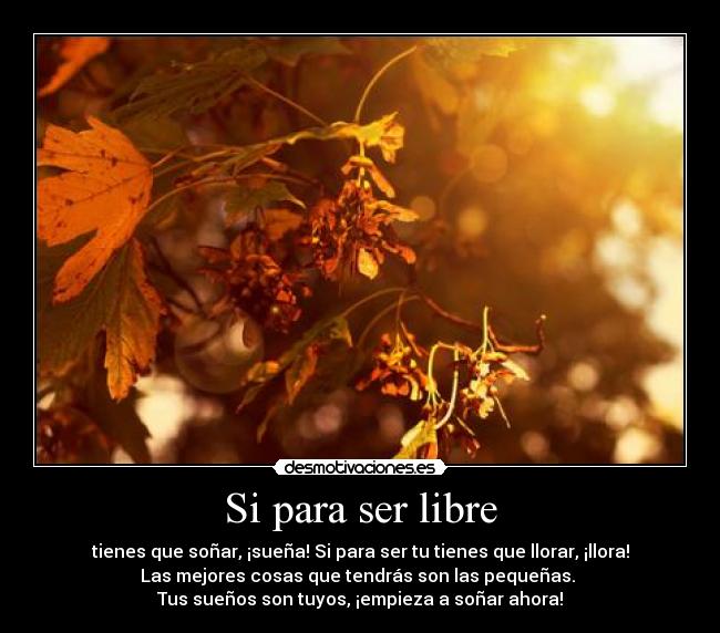 Si para ser libre - tienes que soñar, ¡sueña! Si para ser tu tienes que llorar, ¡llora!
Las mejores cosas que tendrás son las pequeñas.
Tus sueños son tuyos, ¡empieza a soñar ahora!