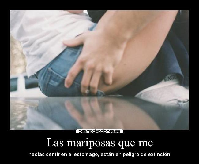 Las mariposas que me -