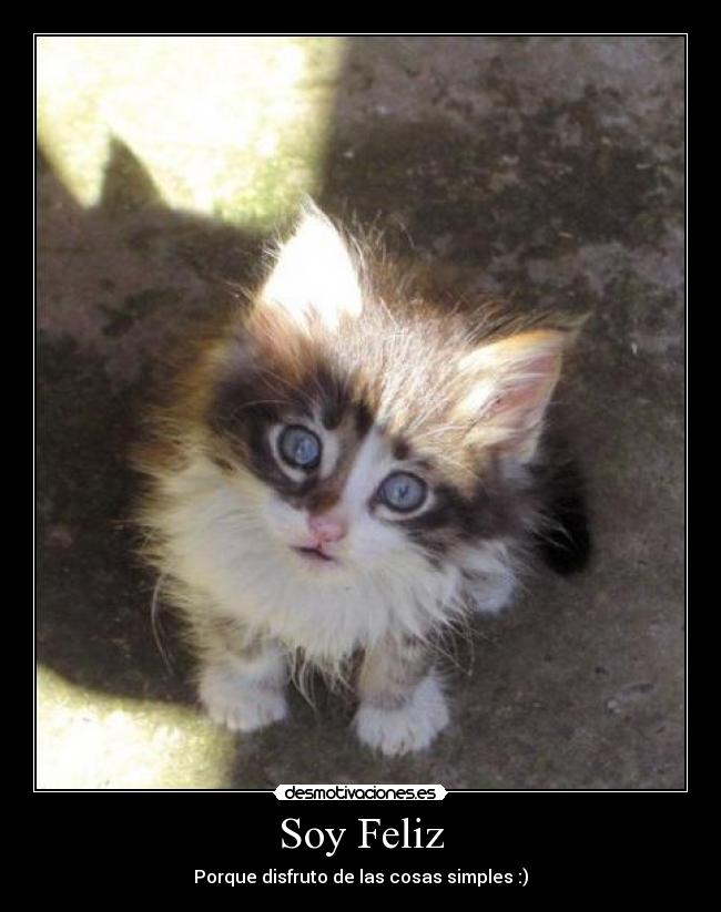 Soy Feliz - 