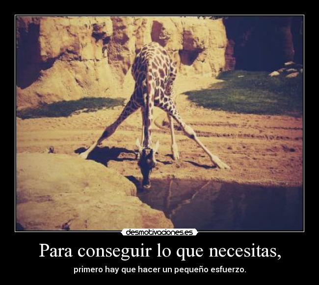 Para conseguir lo que necesitas, - primero hay que hacer un pequeño esfuerzo.