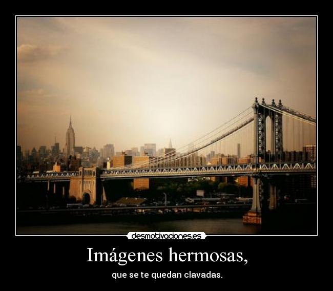 carteles puente brooklyn desmotivaciones