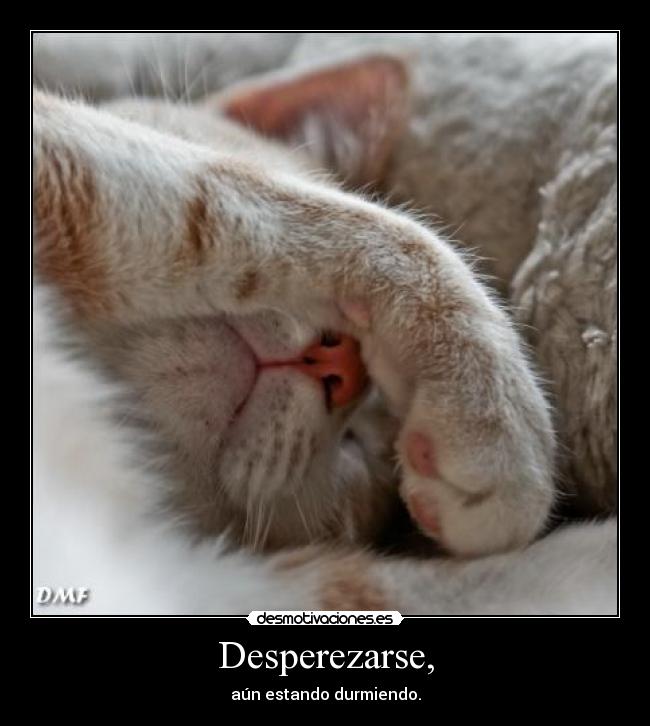 Desperezarse, - 