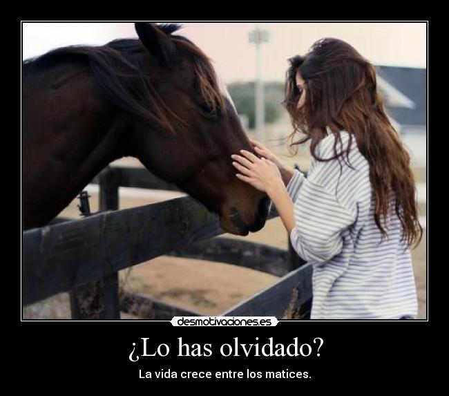 ¿Lo has olvidado? - La vida crece entre los matices.