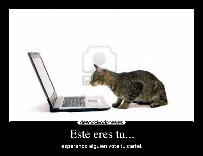 carteles falsas esperanzas desmotivaciones