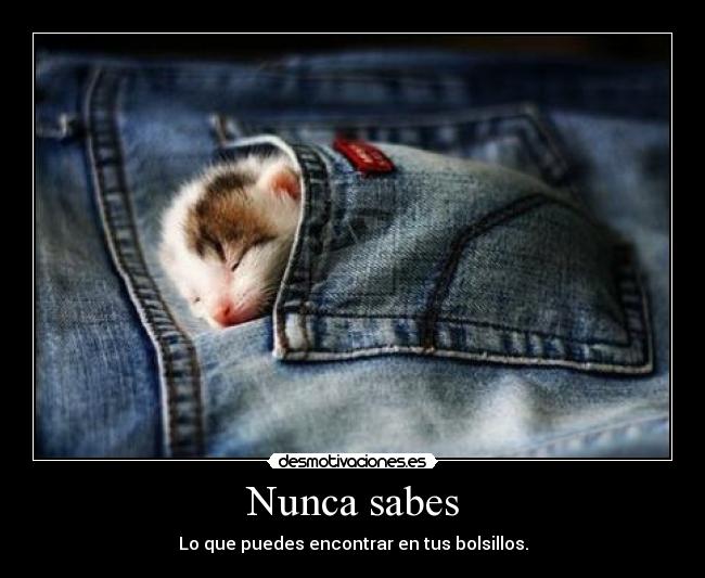 Nunca sabes - 