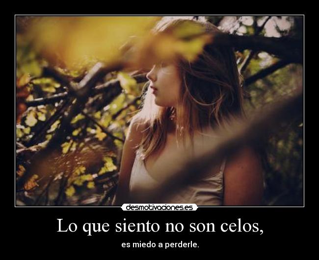 carteles celos mieedoo desmotivaciones