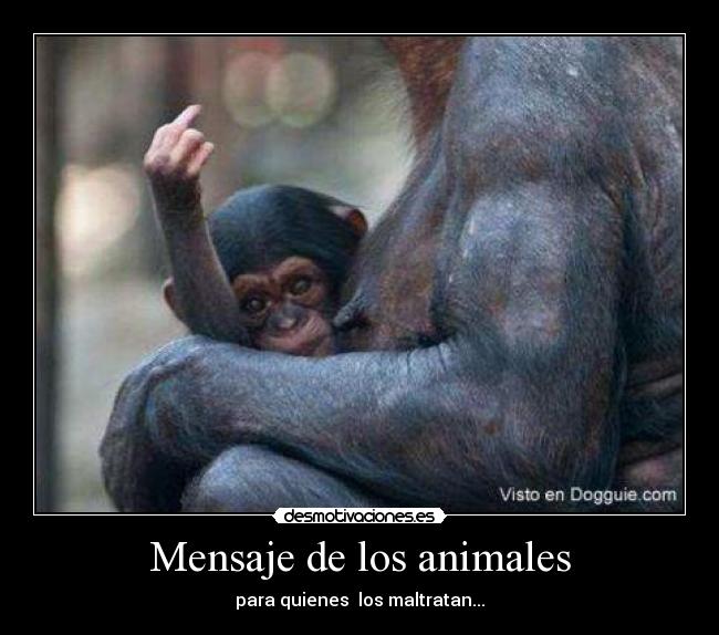 Mensaje de los animales -