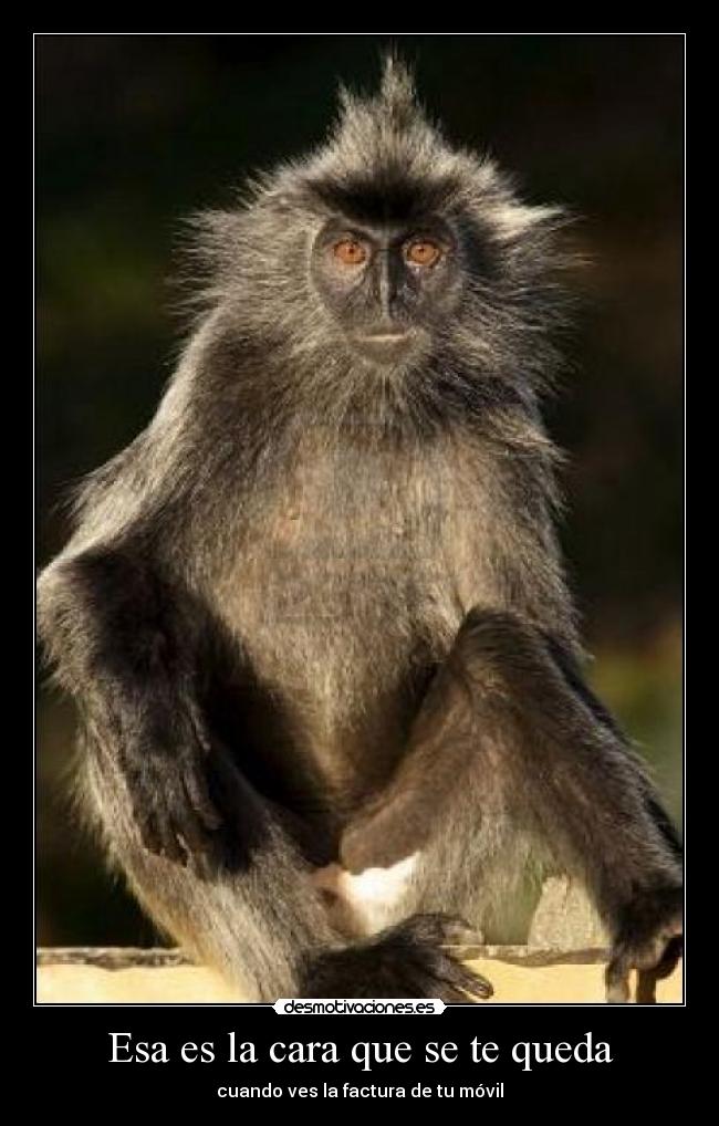 Esa es la cara que se te queda - cuando ves la factura de tu móvil