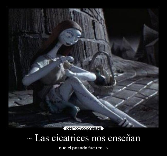 ~ Las cicatrices nos enseñan -