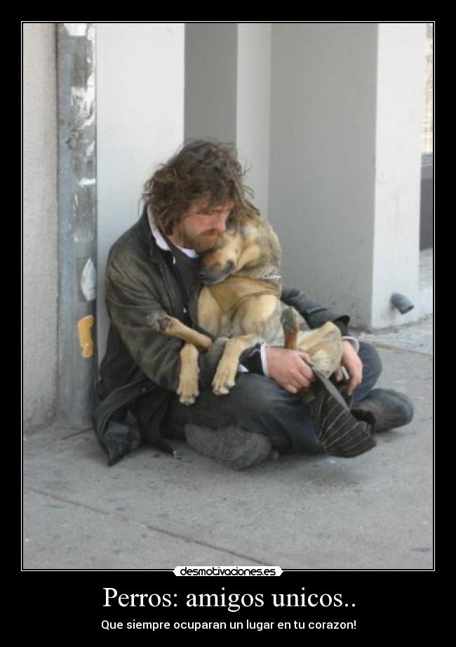 Perros: amigos unicos.. -