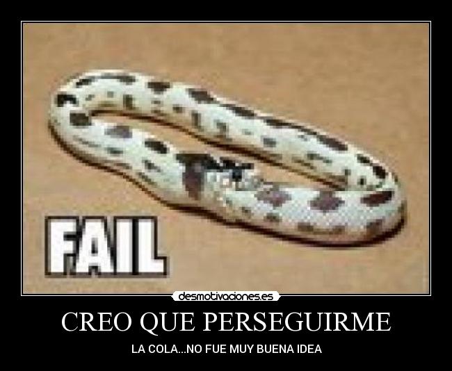 CREO QUE PERSEGUIRME - LA COLA...NO FUE MUY BUENA IDEA