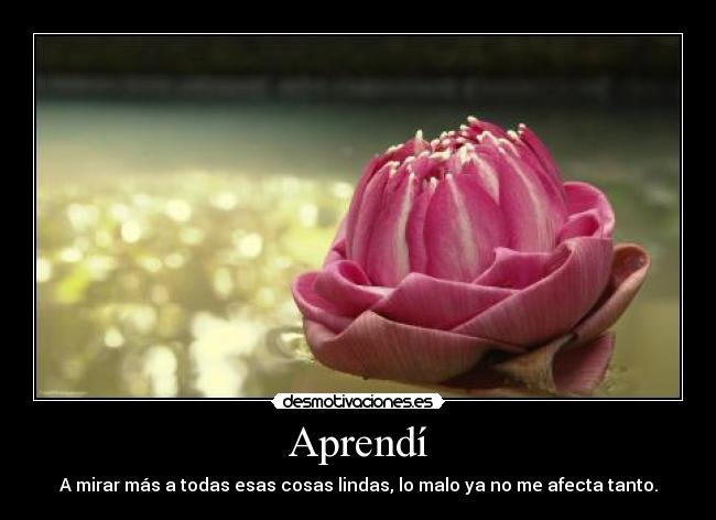 Aprendí - A mirar más a todas esas cosas lindas, lo malo ya no me afecta tanto.