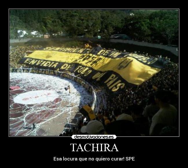 TACHIRA - Esa locura que no quiero curar! SPE♥