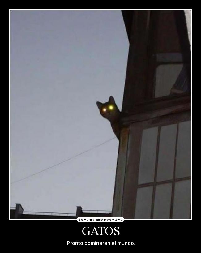 GATOS -