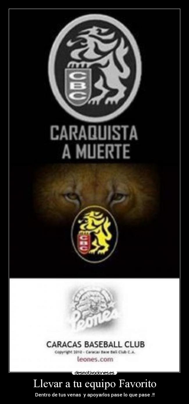 Llevar a tu equipo Favorito - Dentro de tus venas y apoyarlos pase lo que pase .!!