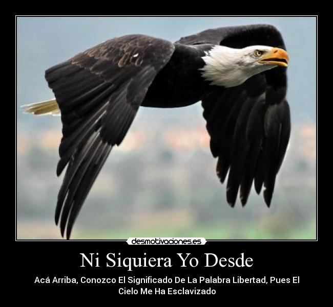 carteles juliana arroyave desmotivaciones